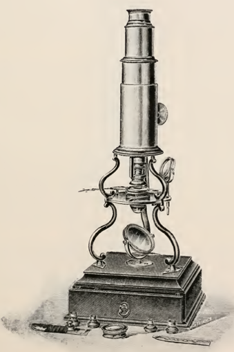 A picture containing indoor, table, sitting, old
Description automatically generated