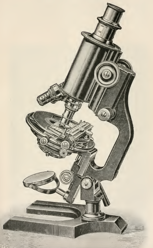 A picture containing motorcycle, small, table, sitting
Description automatically generated