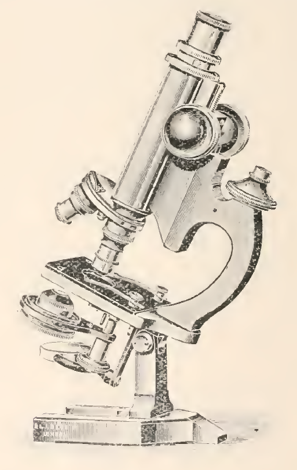 A picture containing drawing
Description automatically generated