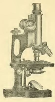A picture containing indoor, old, photo, small
Description automatically generated