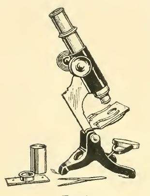 A picture containing drawing
Description automatically generated