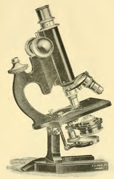 A picture containing object, old, photo, small
Description automatically generated