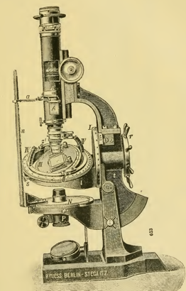 A picture containing photo, sitting, old, person
Description automatically generated