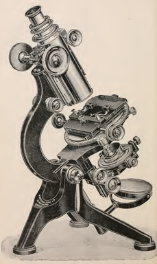 A picture containing motorcycle, sitting, photo, bicycle
Description automatically generated