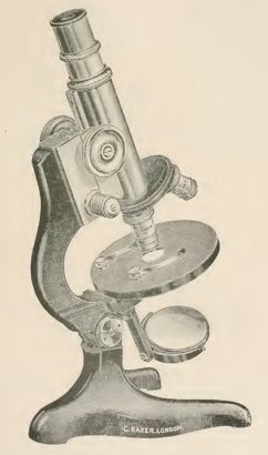 A picture containing indoor, old, small, photo
Description automatically generated
