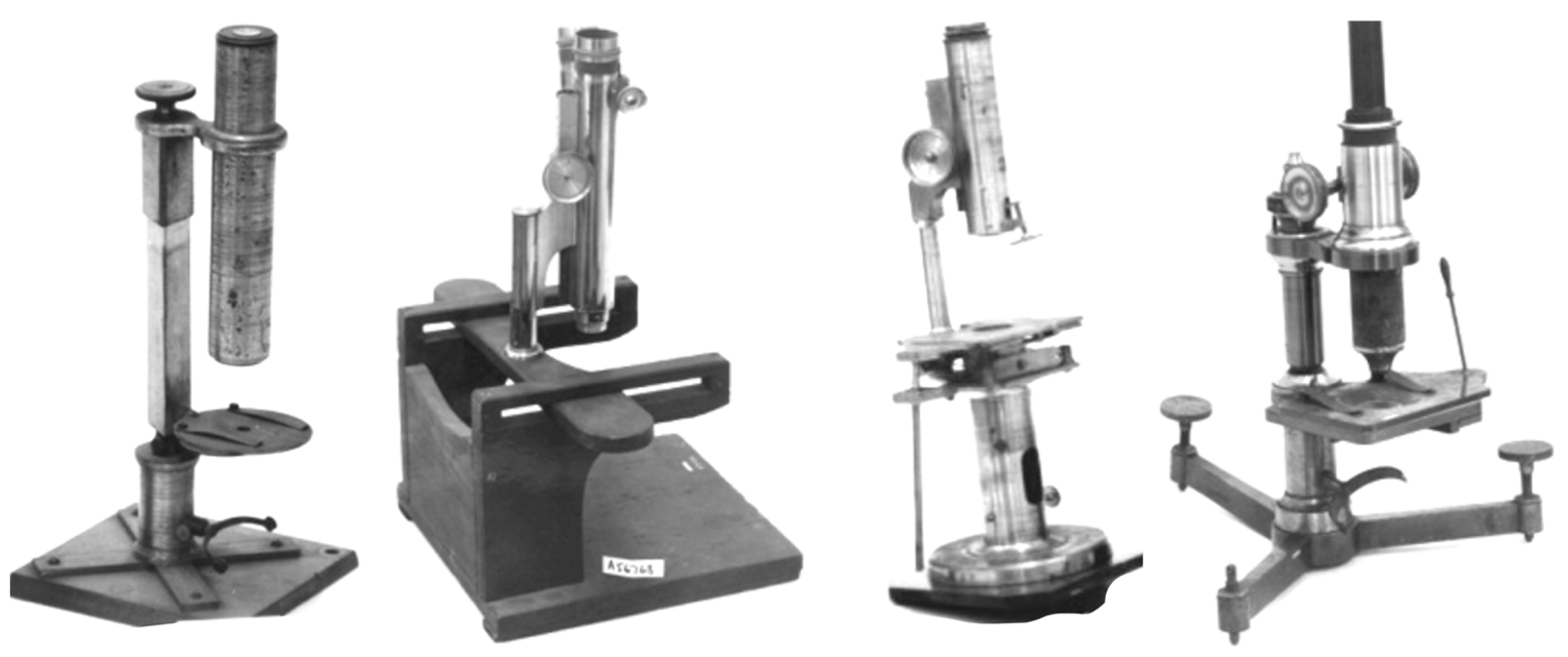 Second Microscope A close-up of several microscopesDescription automatically generated ...