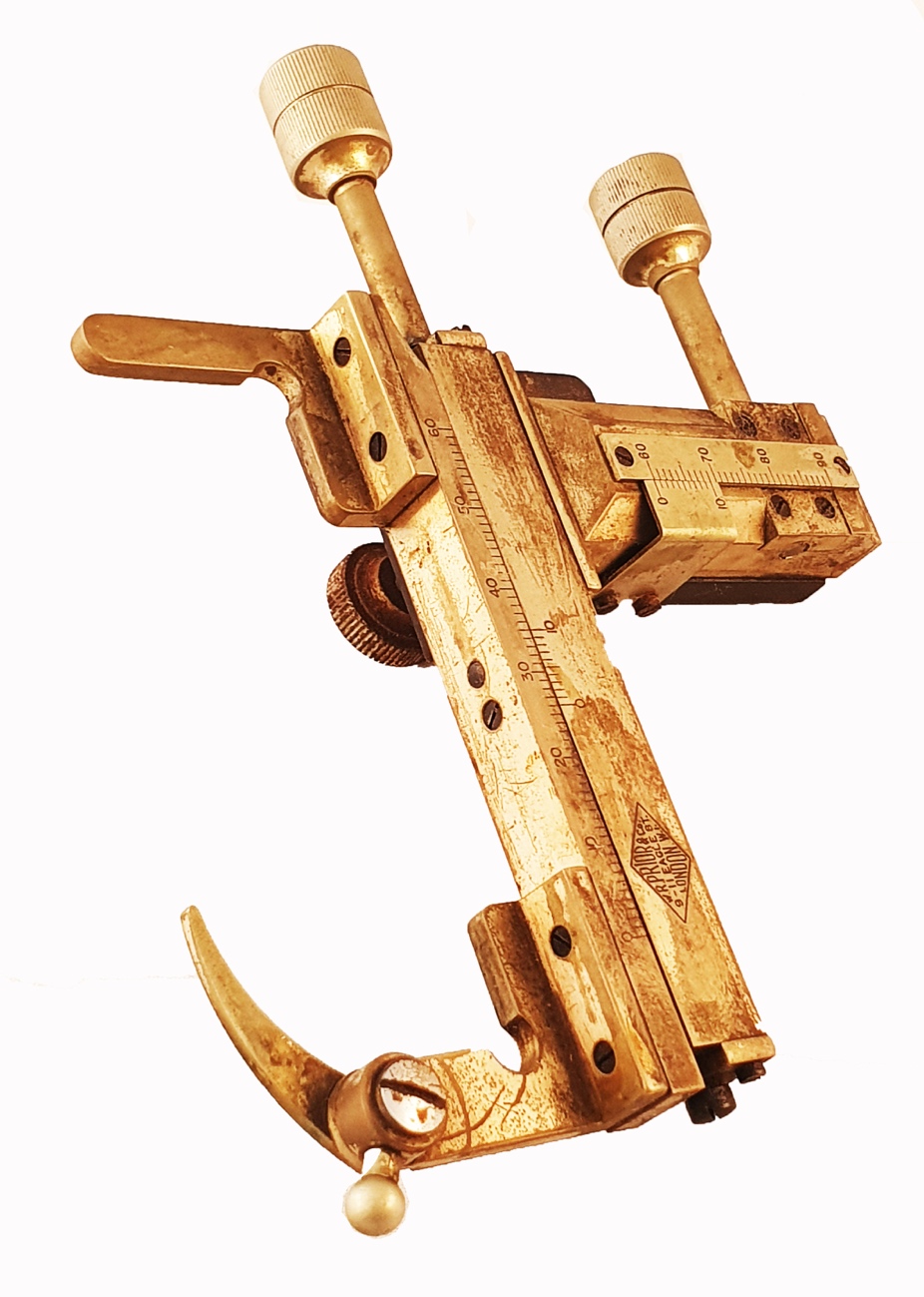 A close up of a gold scaledescription automatically generated with low