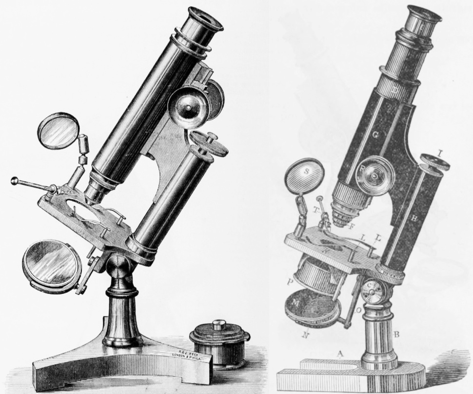 A close-up of a microscopeDescription automatically generated with ...