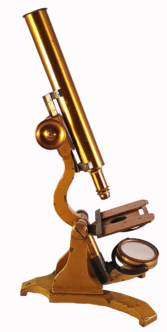 Microscope 264 (assigned to J Parkes & Son; compound microscope; c. 1860)