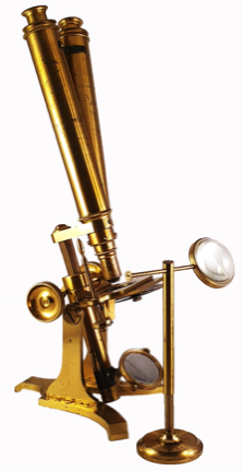 A picture containing brass, music
Description automatically generated